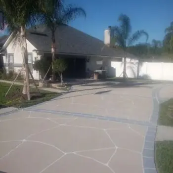Concrete driveway with palm trees