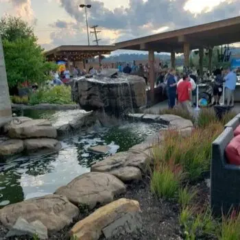 Backyard pond with surrounding rocks